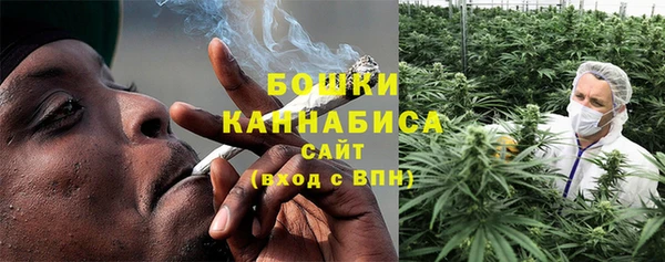 дурь Каменногорск