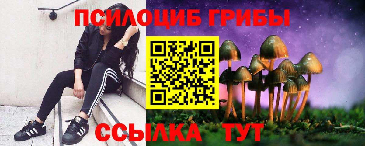 Псилоцибиновые грибы мухоморы  Галлюциногенные грибы прущие грибы  купить наркотик  Новомосковск 