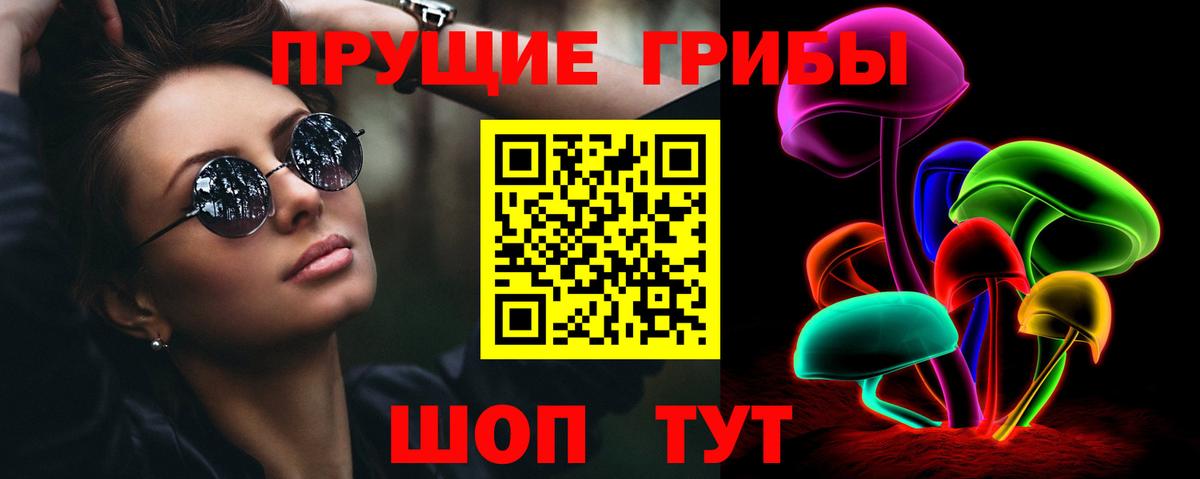 Галлюциногенные грибы MAGIC MUSHROOMS  Вход с VPN  где купить наркоту  Новомосковск  Галлюциногенные грибы GOLDEN TEACHER 